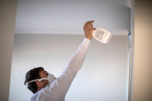 Best Mold Damage Repair  in Montrose, MN