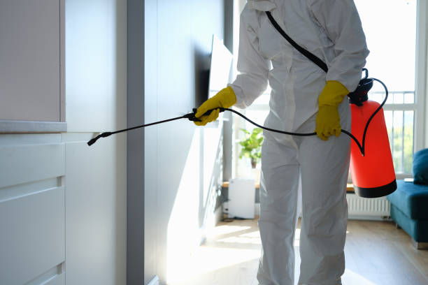 Best Attic Mold Removal  in Montrose, MN