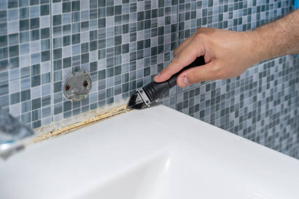 Best Affordable Mold Removal  in Montrose, MN